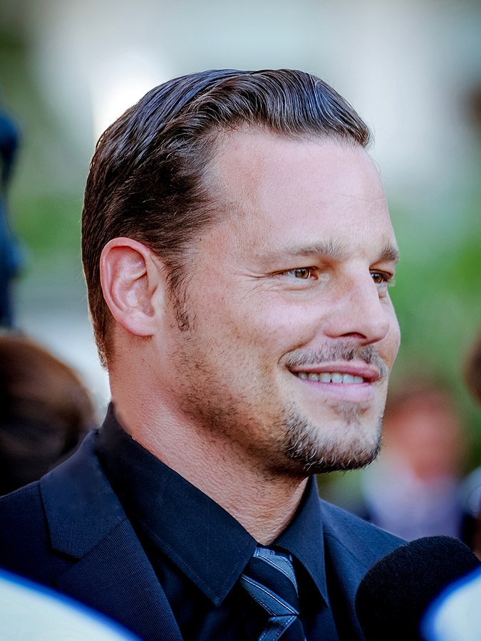 What Is Justin Chambers's Net Worth? Purple Mermaid Media