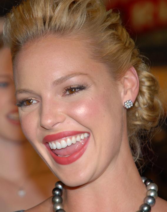 What Is Katherine Heigl's Net Worth? Purple Mermaid Media